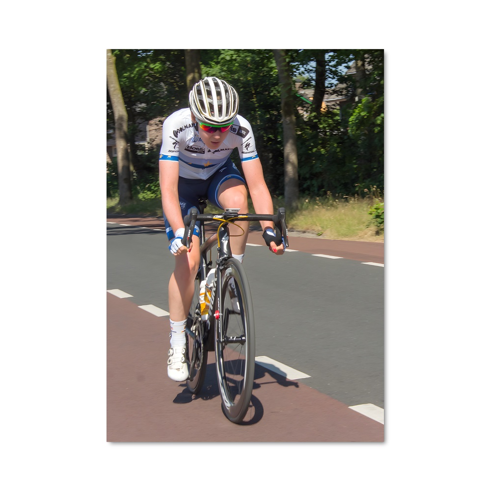 Poster Anna de van breggen